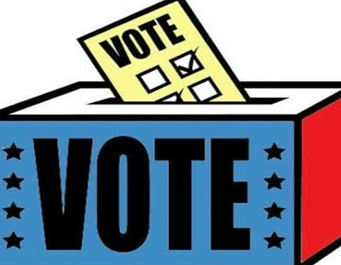 Opposition To Pitch for Paper Ballots