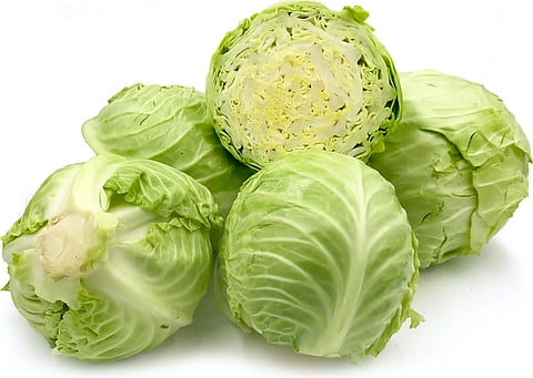 4 Incredible Health Benefits of Cabbage You Must Know