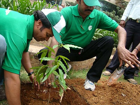 Large-scale plantation drive, 12 lakh saplings to be planted in Goalpara