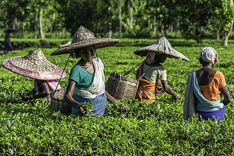 Mezanga Tea Tribes Women Training Centre grapples with problems