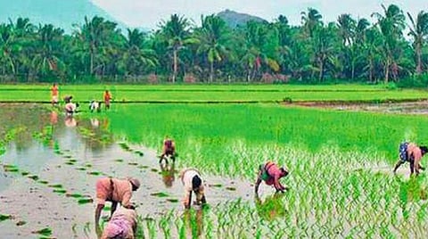 Centre for separate cost norms for Northeast :Union Minister for Agriculture and Farmers Welfare Radha Mohan Singh