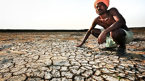 Why Land Degradation in India Has Increased and How to Deal with it