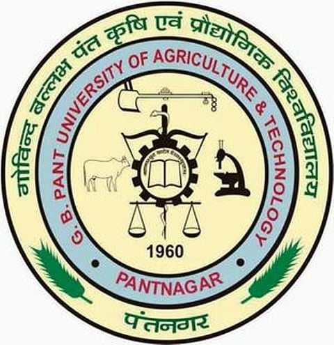 G.B. Pant University of Agriculture and Technology Jobs 2018 For Senior Research Fellow Vacancy for B.Sc, M.Sc