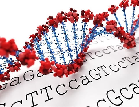 Study Finds How Ancient Genetic Mechanisms Can Help in Treatment - Read Details