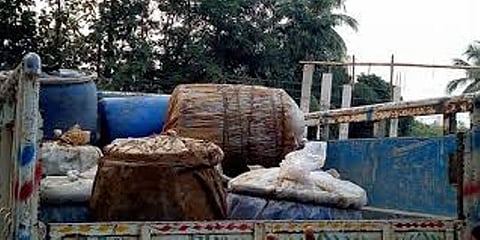 Tripura: Dry Ganja Worth Rs 82 Lakh Recovered by Tripura Police