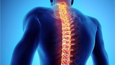 New hope for spinal-cord injury patients
