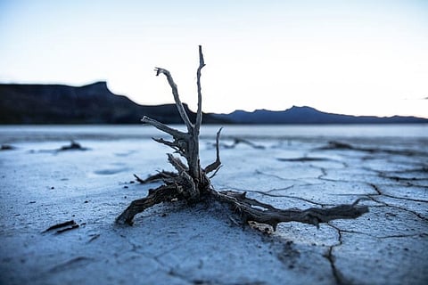 Assam Most Vulnerable to Climate Change in Himalayan Region: Study