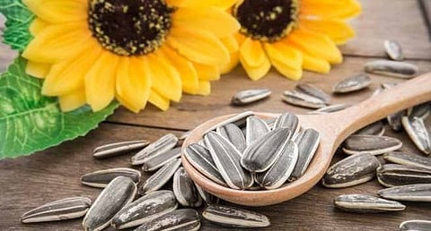 Eat These Crunchy Seeds To Manage Blood Sugar Levels