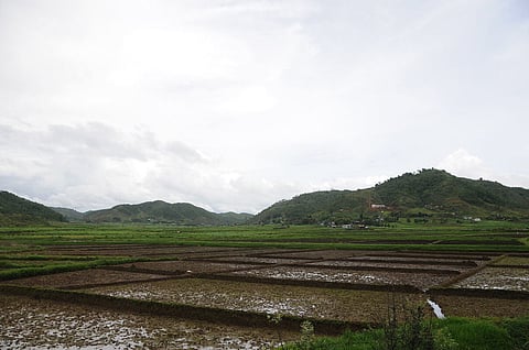 Space technology aiding Meghalaya to expand boro rice cultivation