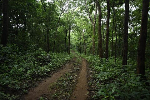 Forester Fakhrul Islam Barbhuiya of Lakhipur Forest Department Transferred
