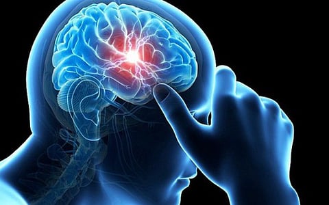 Advanced brain simulator arrived
