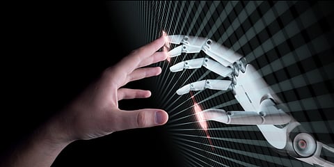 AI identifies microscopic marine organisms