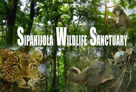 Adopt an animal at Tripura zoo