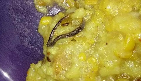 School serves students khichdi  with snake