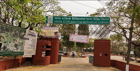 Assam State Zoo Cum Botanical Garden Introduces New Animals