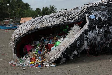 Dead Whale In Philippines Ate 40 kg of Plastic Bags