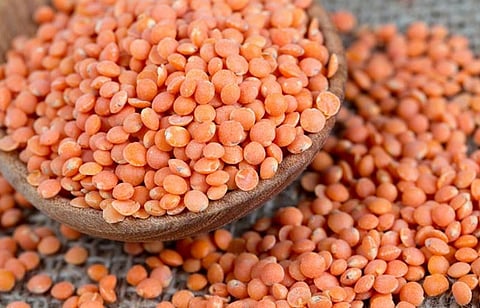 Did You Know Lentils Can Make You Beautiful?