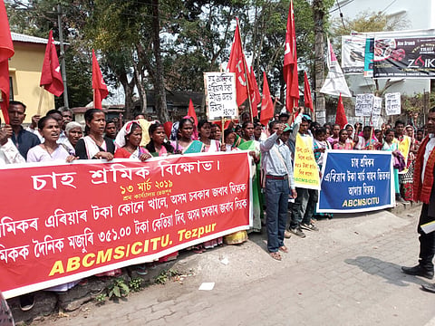 Tea workers stage protest, reiterate demand to hike daily wages in Tezpur