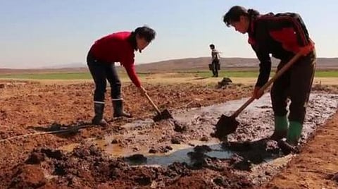 North Korea Facing Acute Food Shortage, Says UN