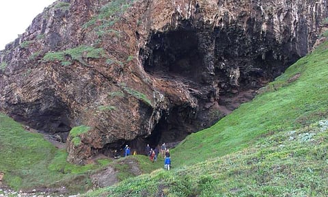 Early Humans Began Eating Starch 120,000 Years Ago