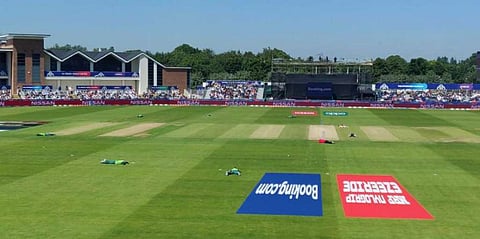 Bees Cause Players to Hit The Ground During 2019 ICC World Cup