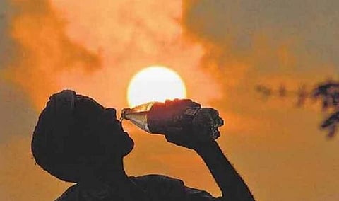 Extreme heat waves could hit the world every year by 2075