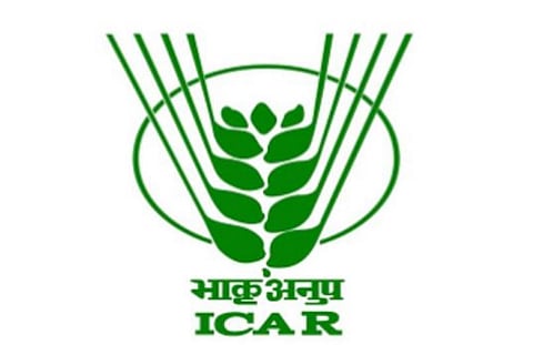 ICAR Research Complex for North Eastern Hill Region Jobs For Junior Research Fellow