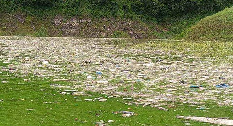 Will Umiam Dam Ever Be Pollution Free?