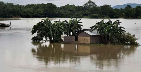 Major Breach at Mohanpur Embankment Inundates Many Areas in Hailakandi District