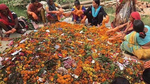 Flowers To Turn Into Incense Sticks