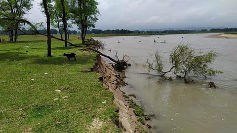 Massive erosion by Deergha River swallows Lalpani Seuj Kshetra in Lakhimpur