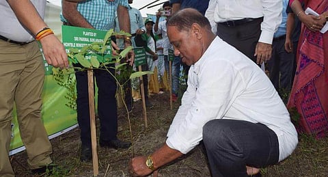 Wildlife Minister Parimal Suklabaidya Opens Innovative Plantation