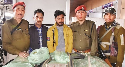 GRP arrested two with 19 kg ganja in Guwahati Railway Station