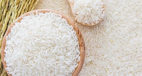India should cut reliance on rice for sustainable food supply: Study 