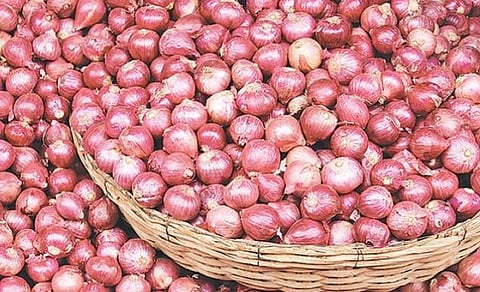 Chinese onion demand soars in Nepal amid India export ban