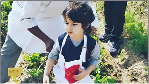 Taimur picks organic veggies at a farm