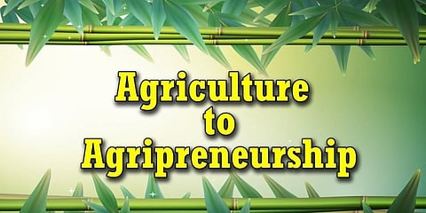 Why India needs agripreneurship?
