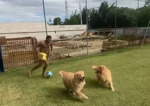 Football star Neymar plays football with his dogs, video goes viral