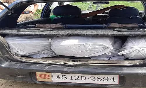 Total of 34.800 kg ganja seized, one arrested in Sonitpur district