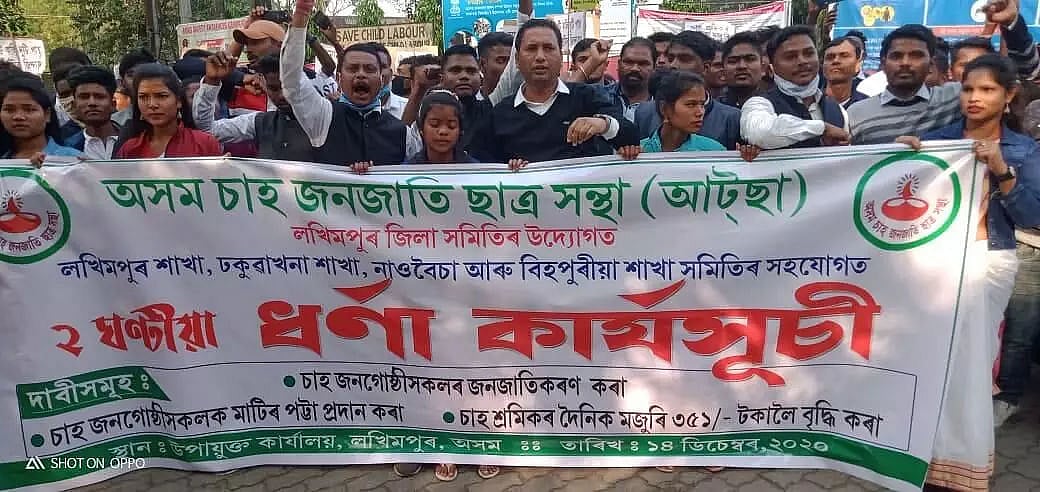 ATTSA stages massive protest to demand hike in daily wages of tea workers