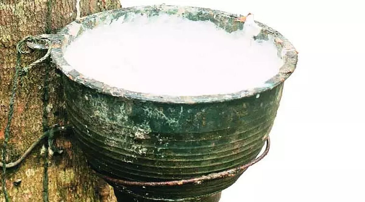 Largest producer discount of rubber