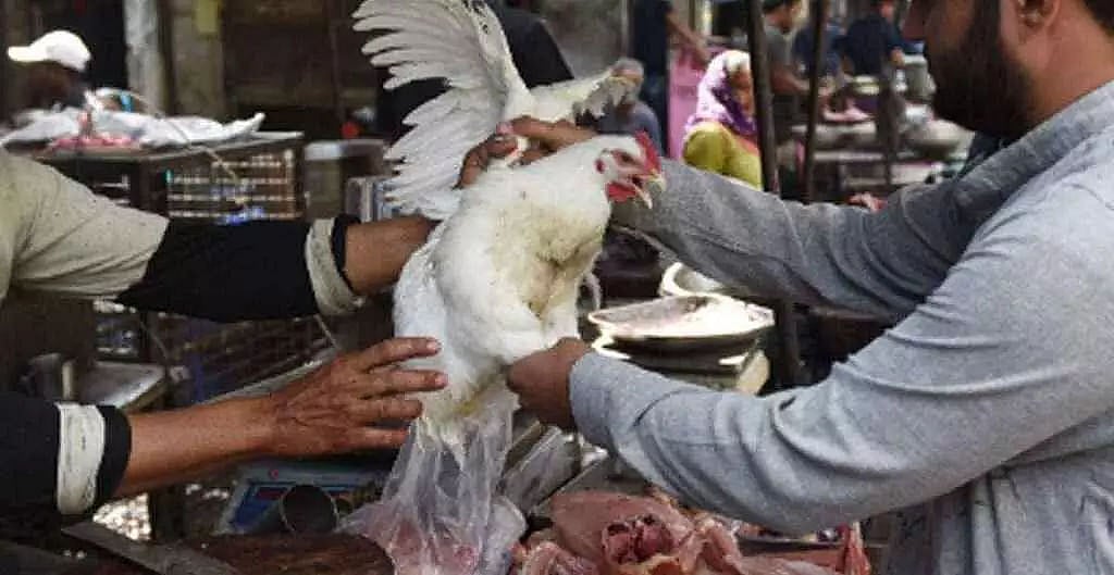 Guwahati Municipal Corporation (GMC) inspects poultry and meat shops