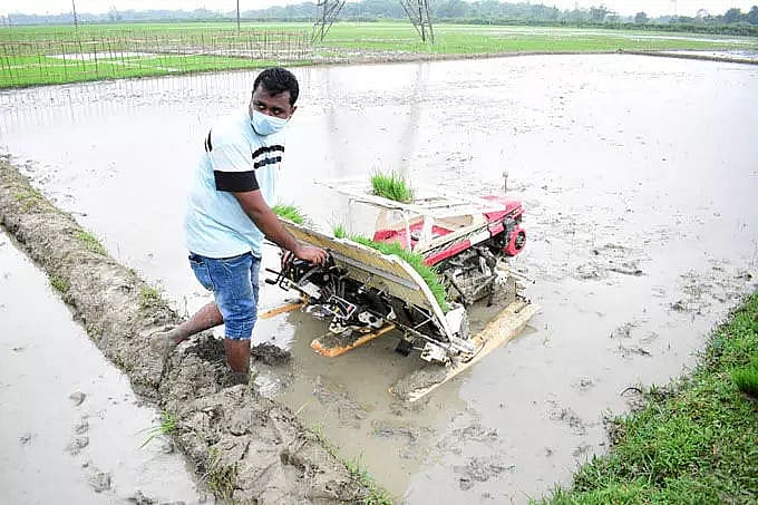 Mechanical transplanting of Sali rice programme inaugurated in Tezpur