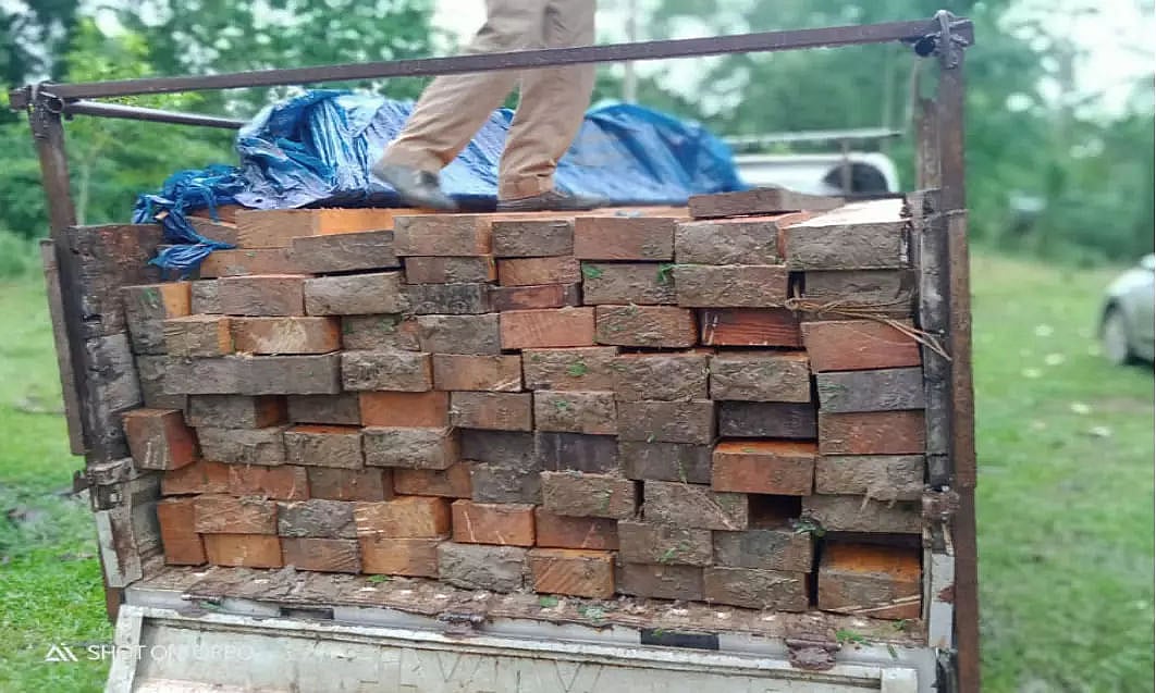 Illegal sawn timber seized in Digboi, 4 arrested