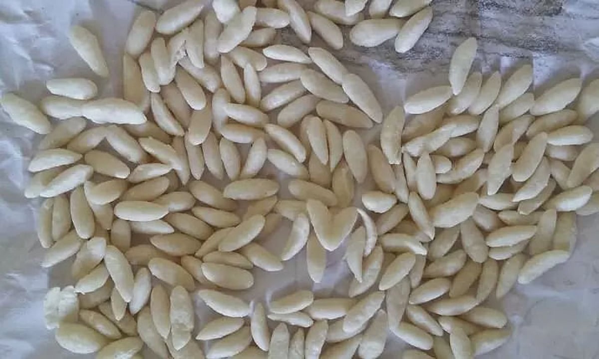 BPL families allege distribution of plastic rice by Ramfalbil Samabai ...