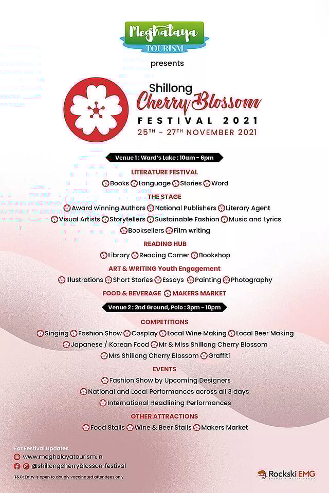 Shillong Cherry Blossom Festival is Back! All You Need To Know