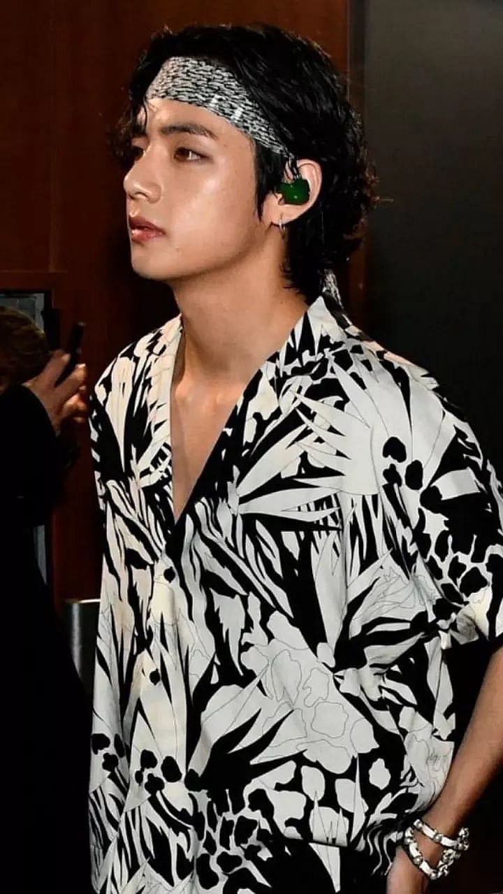 BTS'V has the quirkiest shirt in his closet