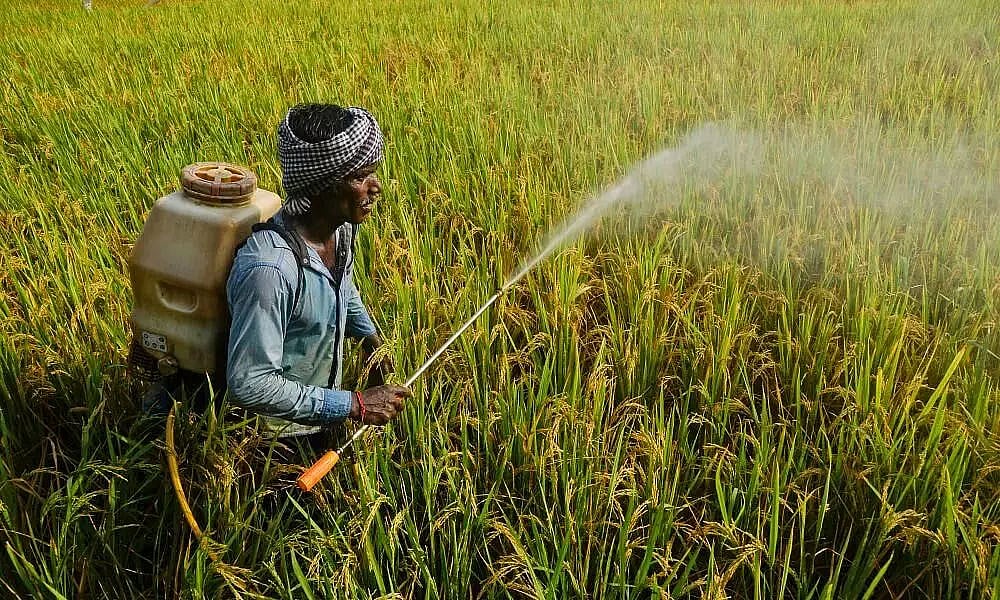 Three farmers awarded Nandalal Upadhyaya State Farmer Award20202122