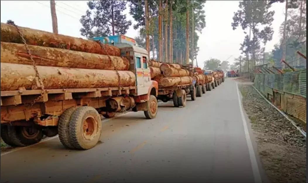 Huge quantity of illegal timber seized in Dibrugarh