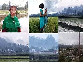 High-altitude integrated rice-fish culture system of the Apatani Plateau